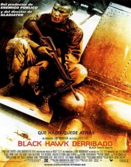 Black Hawk derribado