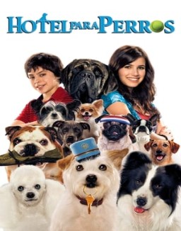 Hotel para perros