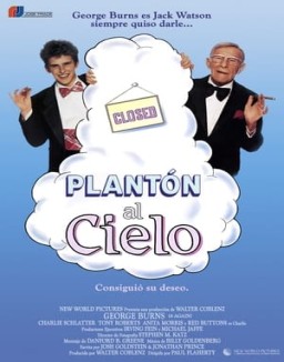 Plantón al cielo